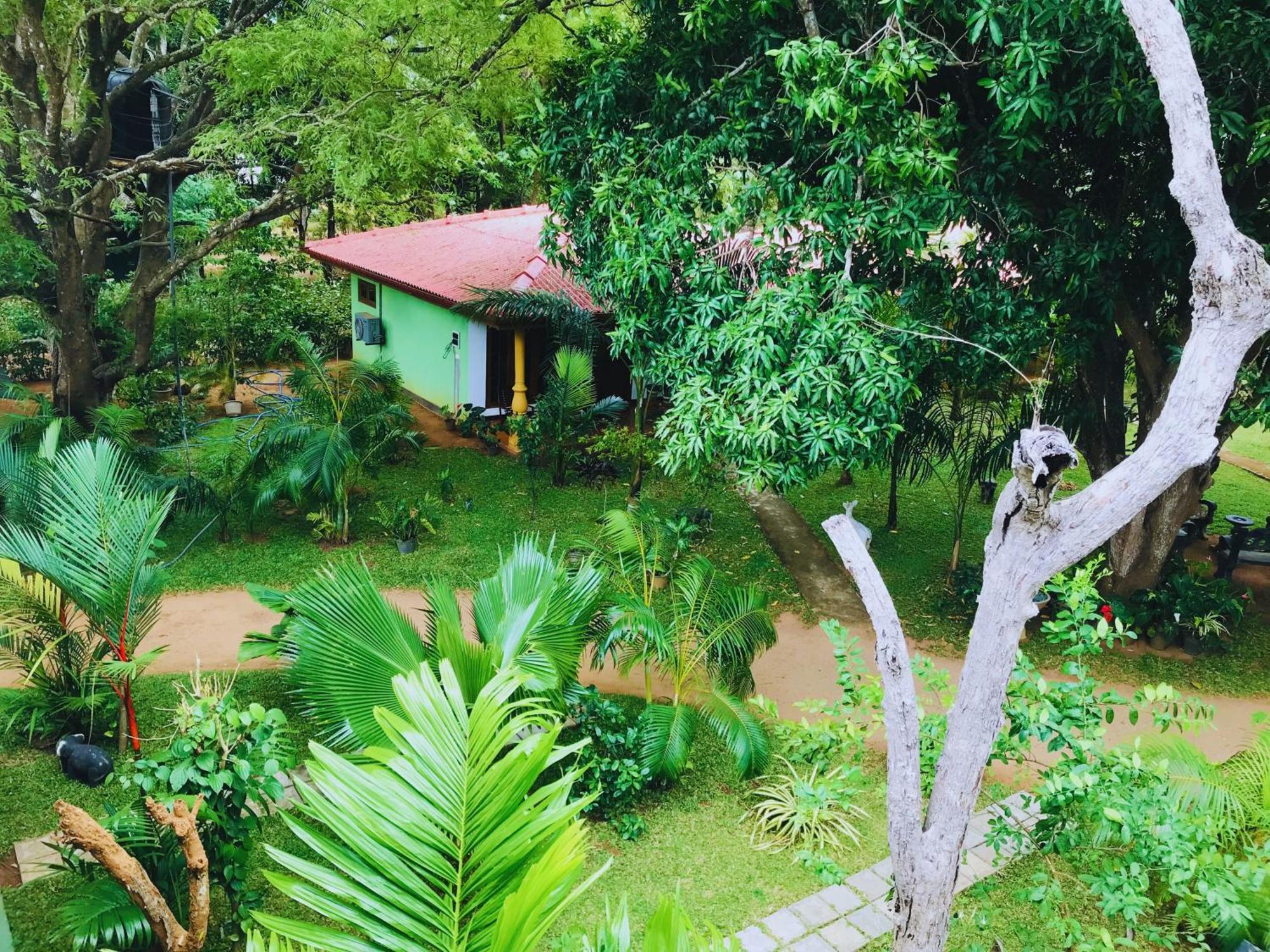 Sigiriya Ranasinghe Nature Villa Exteriör bild